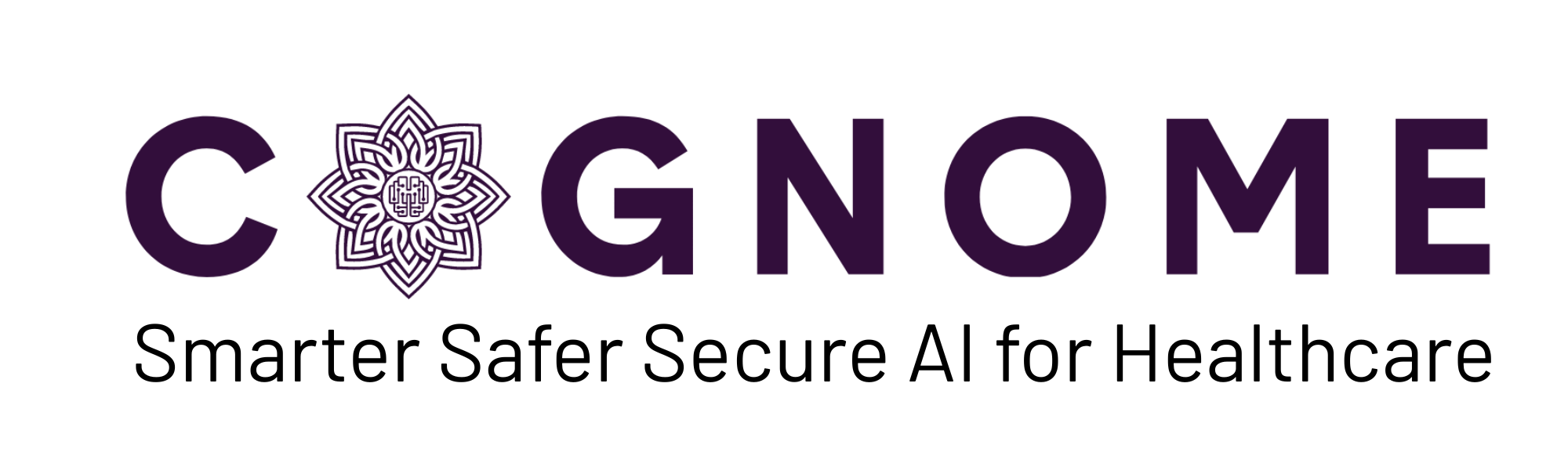 Smarter Safer Secure AI for Healthcare